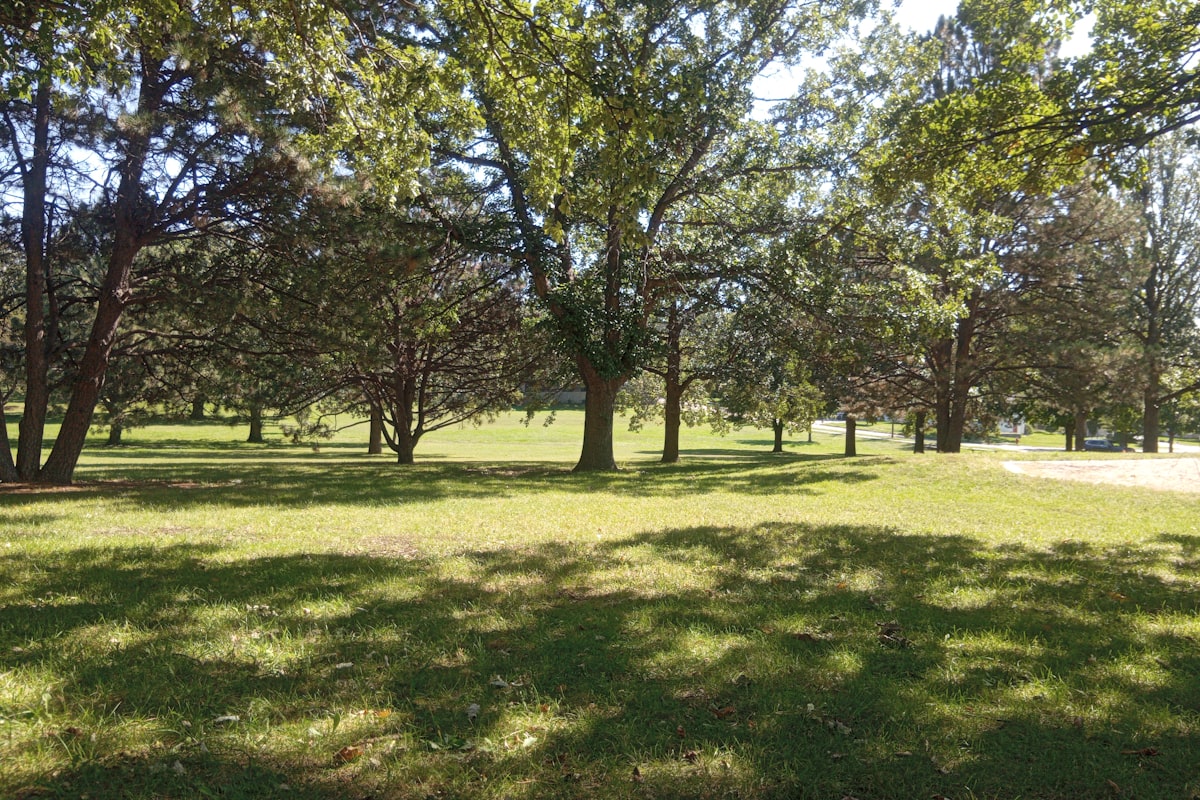 Local Parks in Cloudcroft
