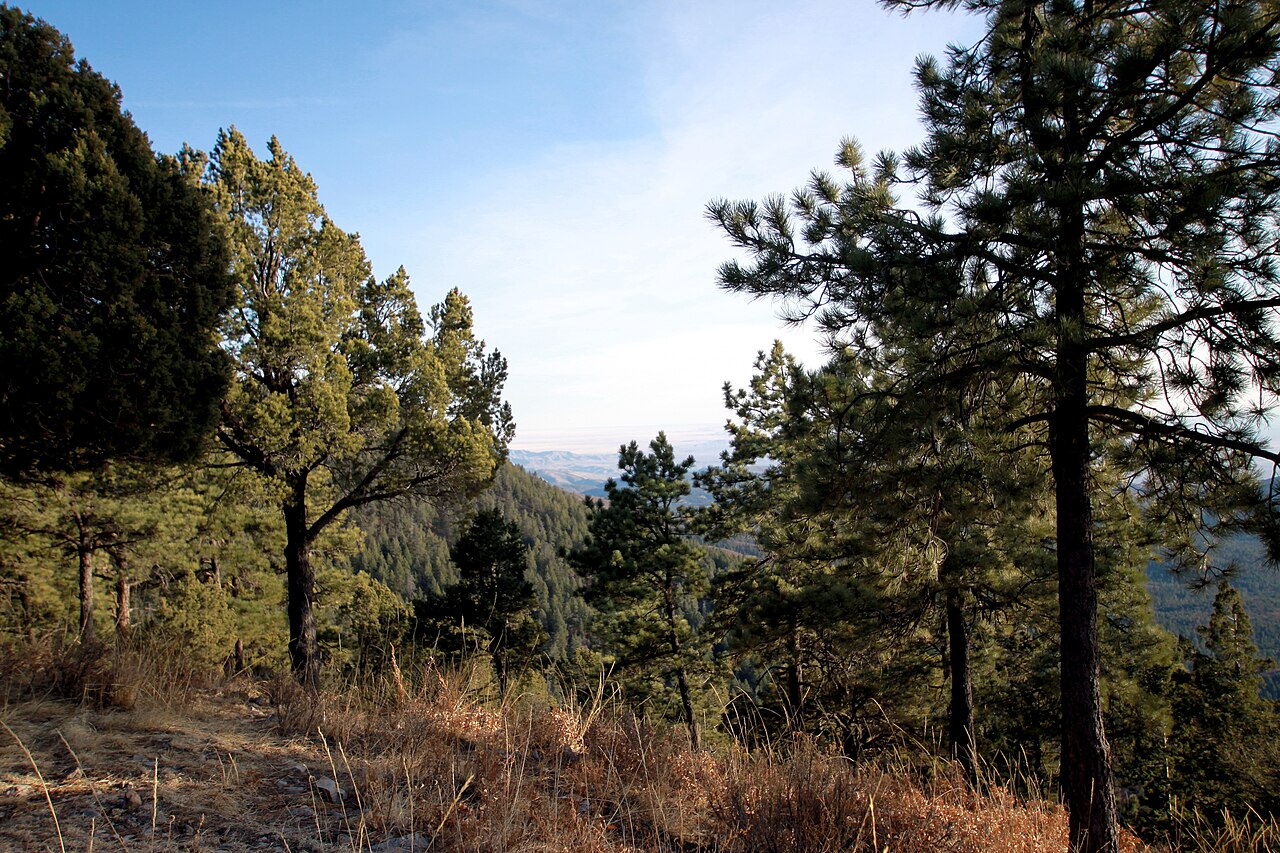 Tularosa Basin Museum of History